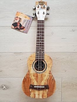 新品　エレキウクレレテナーサイズ　Bondi Ukuleles Ultimate Ukulele Starter Bundle - Soprano Size – Bondi Ukuleles
